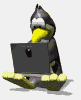 penguin_type_laptop_md_wht.gif